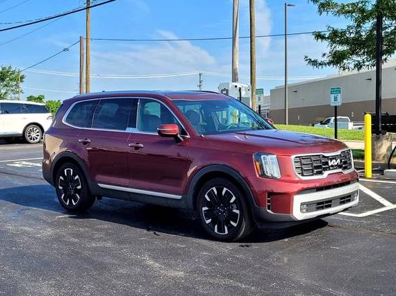 KIA TELLURIDE 2024 5XYP5DGC7RG559222 image