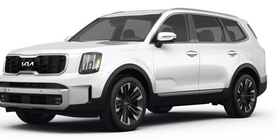 KIA TELLURIDE 2024 5XYP5DGC8RG538332 image