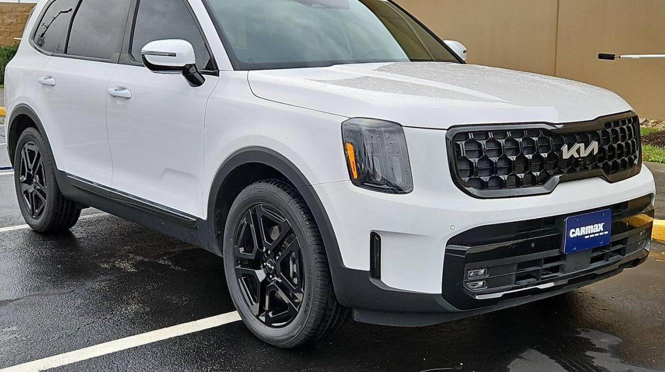 KIA TELLURIDE 2024 5XYP5DGC5RG420190 image