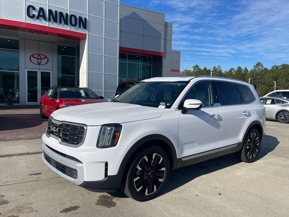 KIA TELLURIDE 2024 5XYP5DGC5RG449916 image