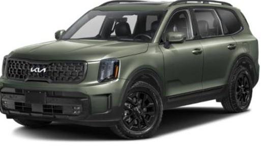 KIA TELLURIDE 2024 5XYP5DGC6RG459063 image