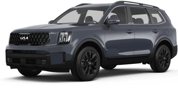 KIA TELLURIDE 2024 5XYP5DGC8RG562226 image