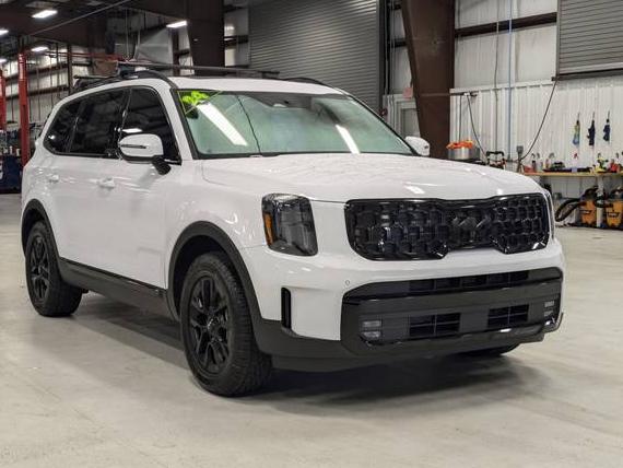 KIA TELLURIDE 2024 5XYP5DGC4RG431620 image