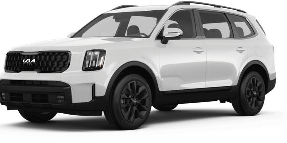 KIA TELLURIDE 2024 5XYP5DGC5RG466456 image