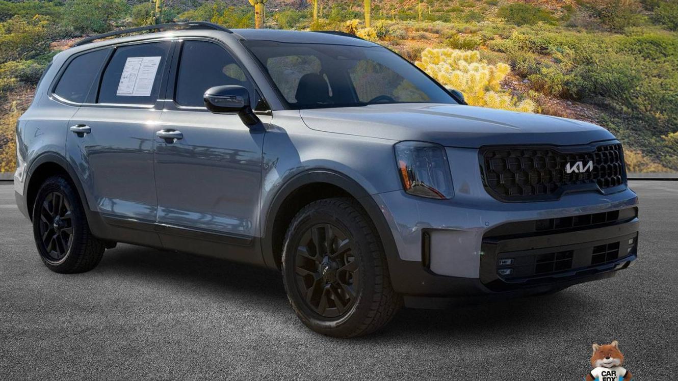 KIA TELLURIDE 2024 5XYP5DGC5RG429746 image