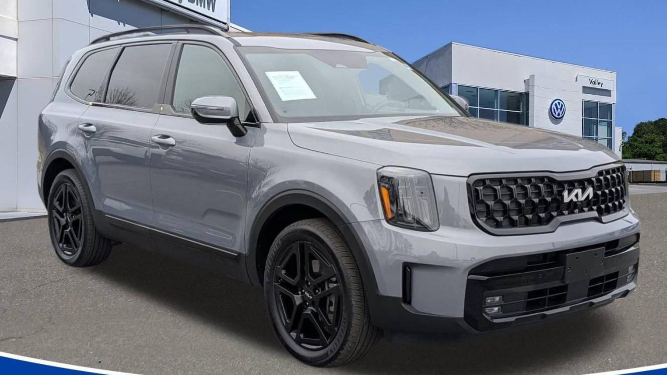 KIA TELLURIDE 2024 5XYP5DGC4RG435375 image