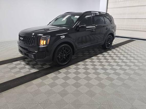 KIA TELLURIDE 2024 5XYP5DGC2RG547334 image