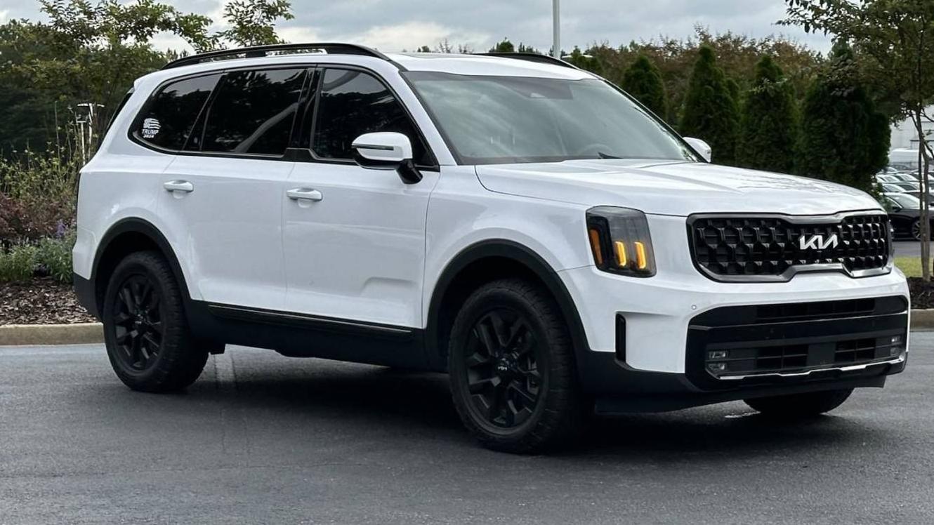 KIA TELLURIDE 2024 5XYP5DGC3RG435092 image