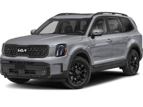 KIA TELLURIDE 2024 5XYP5DGC8RG434682 image