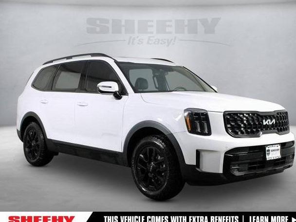 KIA TELLURIDE 2024 5XYP5DGC3RG427526 image