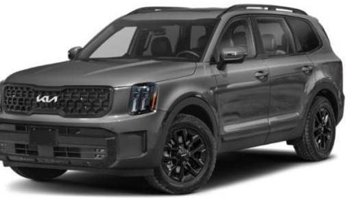 KIA TELLURIDE 2024 5XYP5DGC3RG425906 image