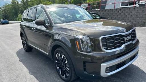 KIA TELLURIDE 2024 5XYP5DGCXRG443089 image