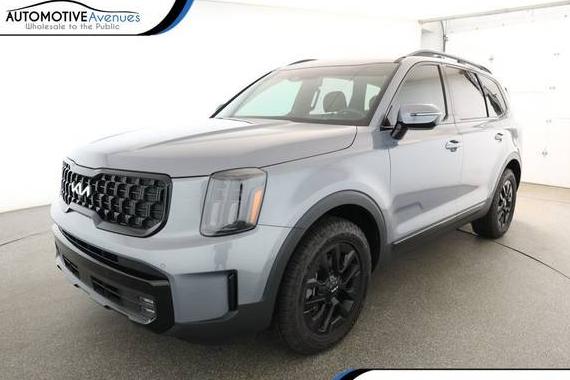 KIA TELLURIDE 2024 5XYP5DGC9RG513617 image