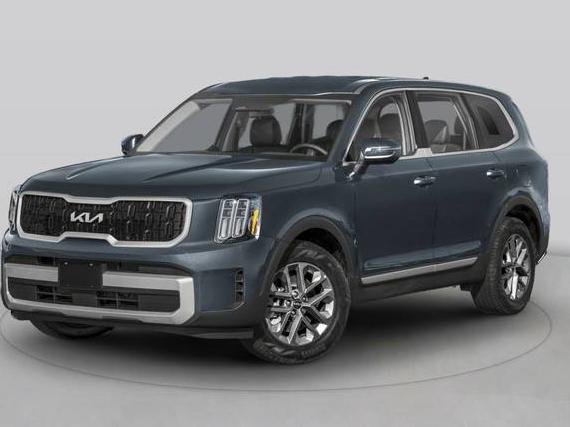KIA TELLURIDE 2024 5XYP3DGCXRG461999 image