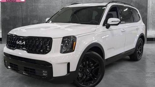 KIA TELLURIDE 2024 5XYP5DGC3RG443516 image