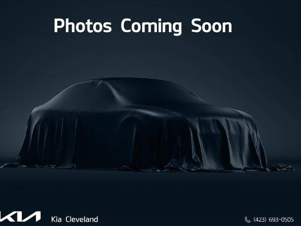 KIA TELLURIDE 2024 5XYP5DGC4RG458378 image