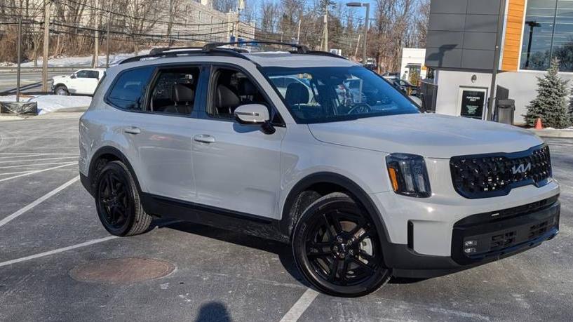 KIA TELLURIDE 2024 5XYP5DGC1RG518164 image