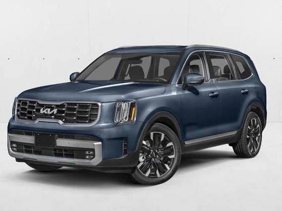 KIA TELLURIDE 2024 5XYP5DGC3RG427929 image
