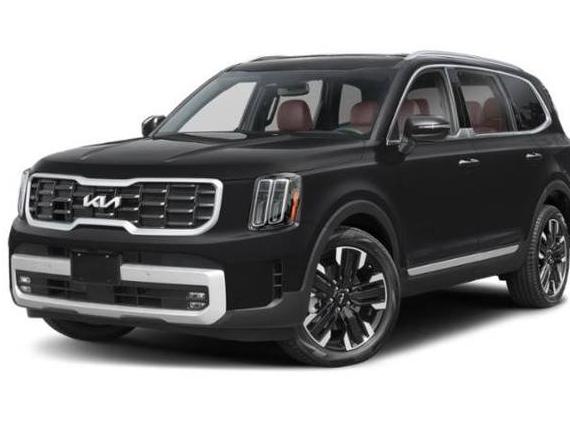 KIA TELLURIDE 2024 5XYP54GC4RG470692 image