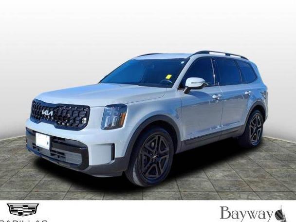 KIA TELLURIDE 2024 5XYP3DGC6RG480730 image