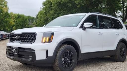 KIA TELLURIDE 2024 5XYP5DGC1RG438623 image