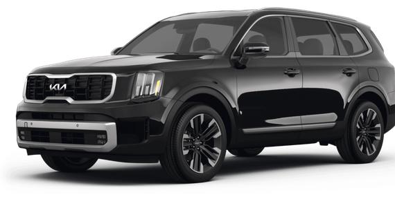 KIA TELLURIDE 2024 5XYP5DGC5RG457434 image