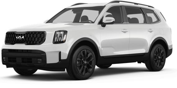 KIA TELLURIDE 2024 5XYP5DGC1RG422115 image