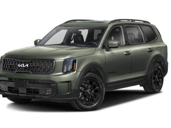 KIA TELLURIDE 2024 5XYP5DGC9RG439163 image
