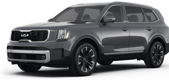 KIA TELLURIDE 2024 5XYP5DGC5RG426717 image