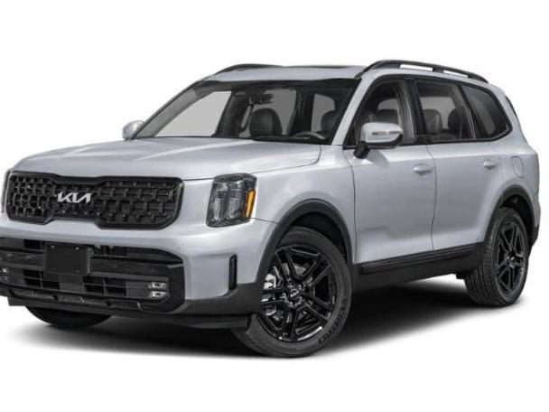 KIA TELLURIDE 2024 5XYP5DGC4RG416650 image