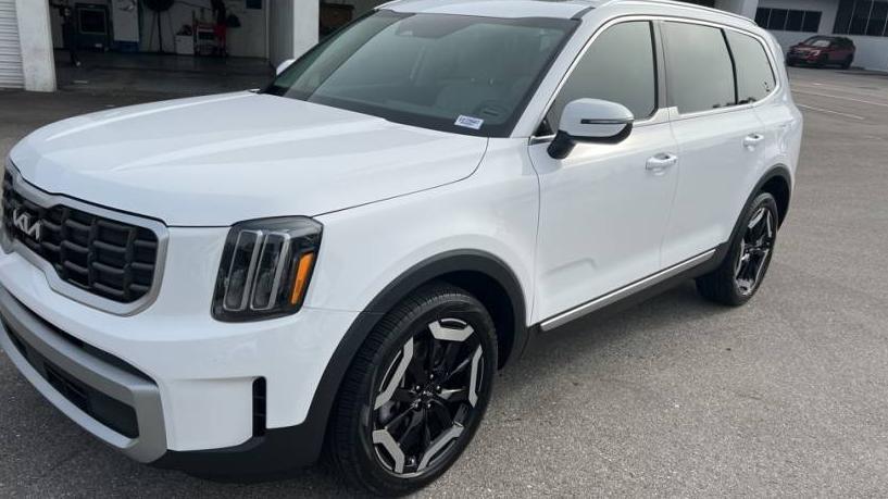 KIA TELLURIDE 2024 5XYP6DGC0RG412866 image