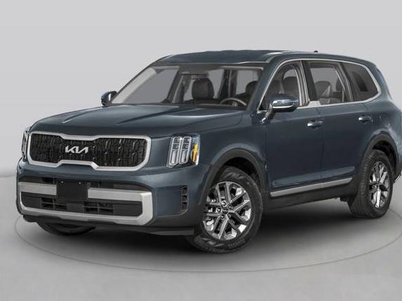KIA TELLURIDE 2024 5XYP24GC9RG504988 image
