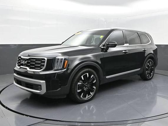 KIA TELLURIDE 2024 5XYP5DGC9RG458389 image