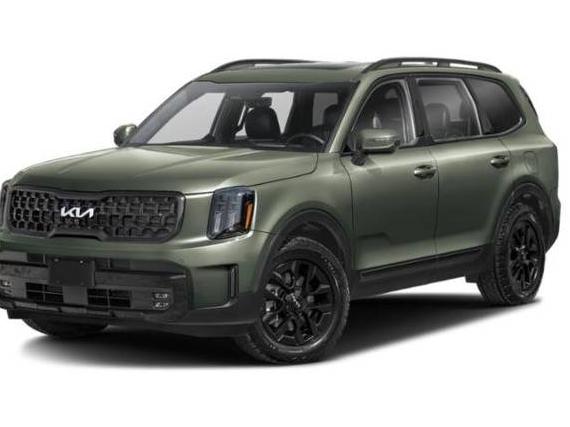 KIA TELLURIDE 2024 5XYP5DGC7RG491388 image