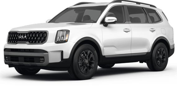 KIA TELLURIDE 2024 5XYP5DGC8RG511776 image
