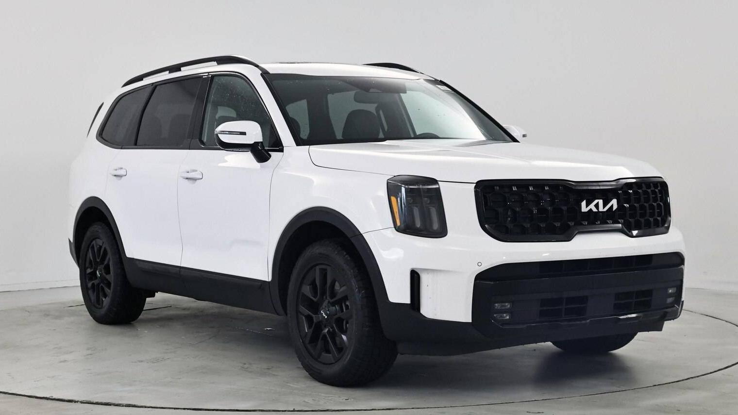 KIA TELLURIDE 2024 5XYP5DGCXRG457509 image