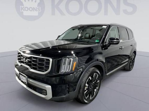 KIA TELLURIDE 2024 5XYP5DGC4RG462656 image