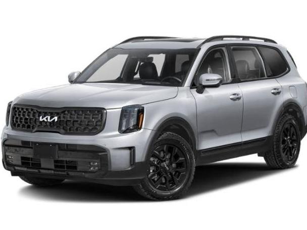 KIA TELLURIDE 2024 5XYP5DGC1RG521355 image