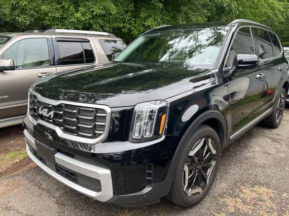 KIA TELLURIDE 2024 5XYP64GC4RG428827 image