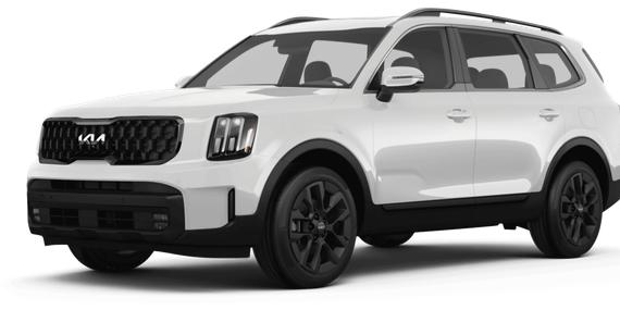 KIA TELLURIDE 2024 5XYP5DGCXRG514372 image