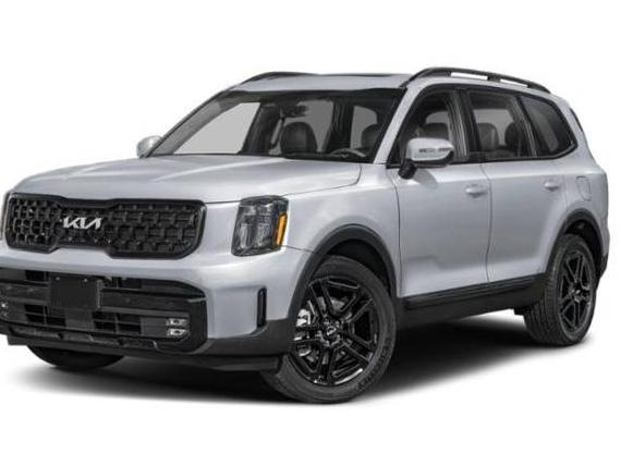 KIA TELLURIDE 2024 5XYP5DGC3RG538206 image