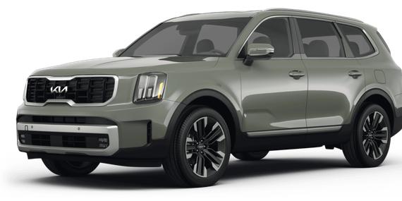 KIA TELLURIDE 2024 5XYP5DGC5RG490806 image