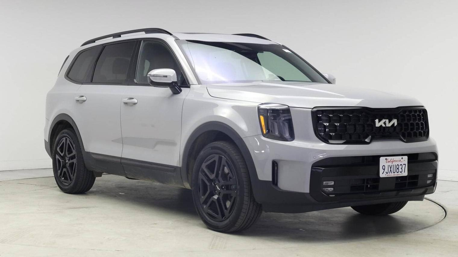 KIA TELLURIDE 2024 5XYP5DGC7RG449948 image