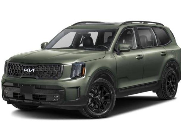 KIA TELLURIDE 2024 5XYP5DGCXRG418841 image