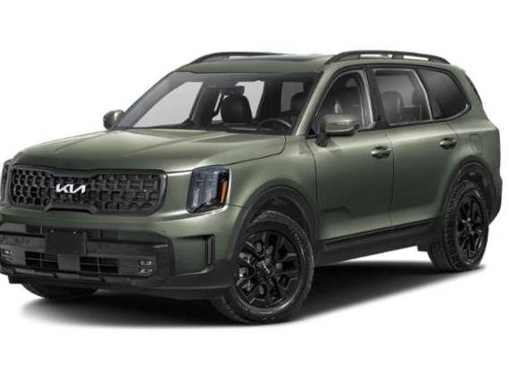KIA TELLURIDE 2024 5XYP5DGC8RG456651 image