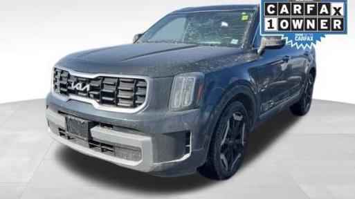 KIA TELLURIDE 2024 5XYP6DGC2RG487892 image