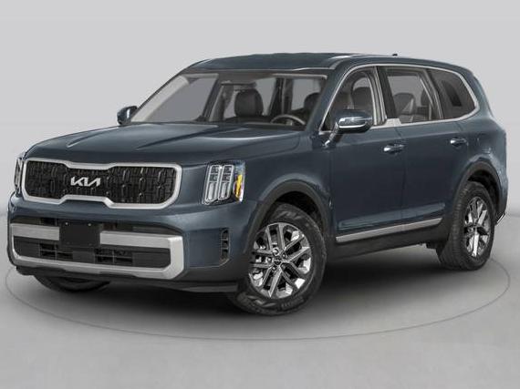 KIA TELLURIDE 2024 5XYP5DGC6RG445163 image