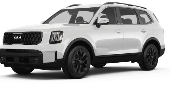 KIA TELLURIDE 2024 5XYP54GC4RG429060 image