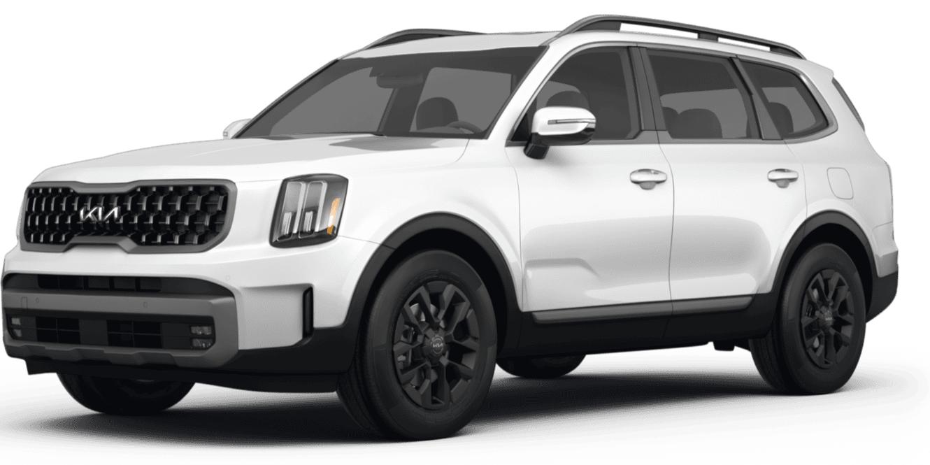 KIA TELLURIDE 2024 5XYP5DGC8RG444516 image