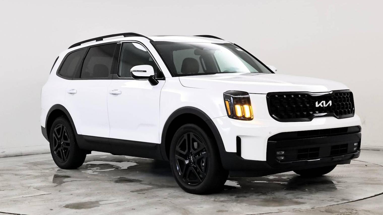 KIA TELLURIDE 2024 5XYP5DGC6RG461444 image